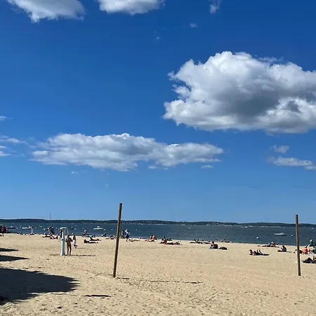 In Arcachon, Near The Arcachon