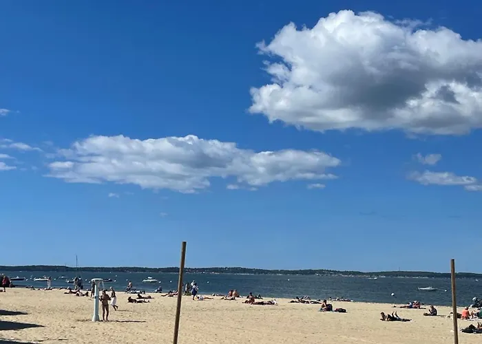 In Arcachon, Near The Arcachon